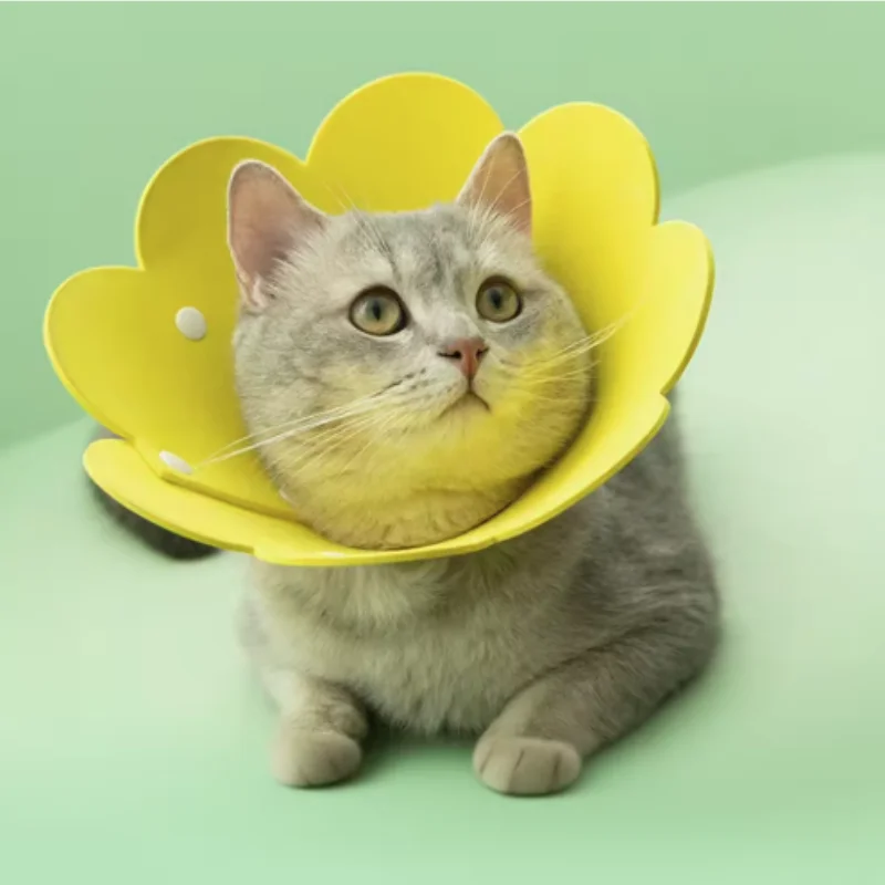 Cute Flower Shaped Adjustable Cat Dog Elizabethan Recovery Collar Puppy Kitten Protective Anti-Bite 1005010289870944