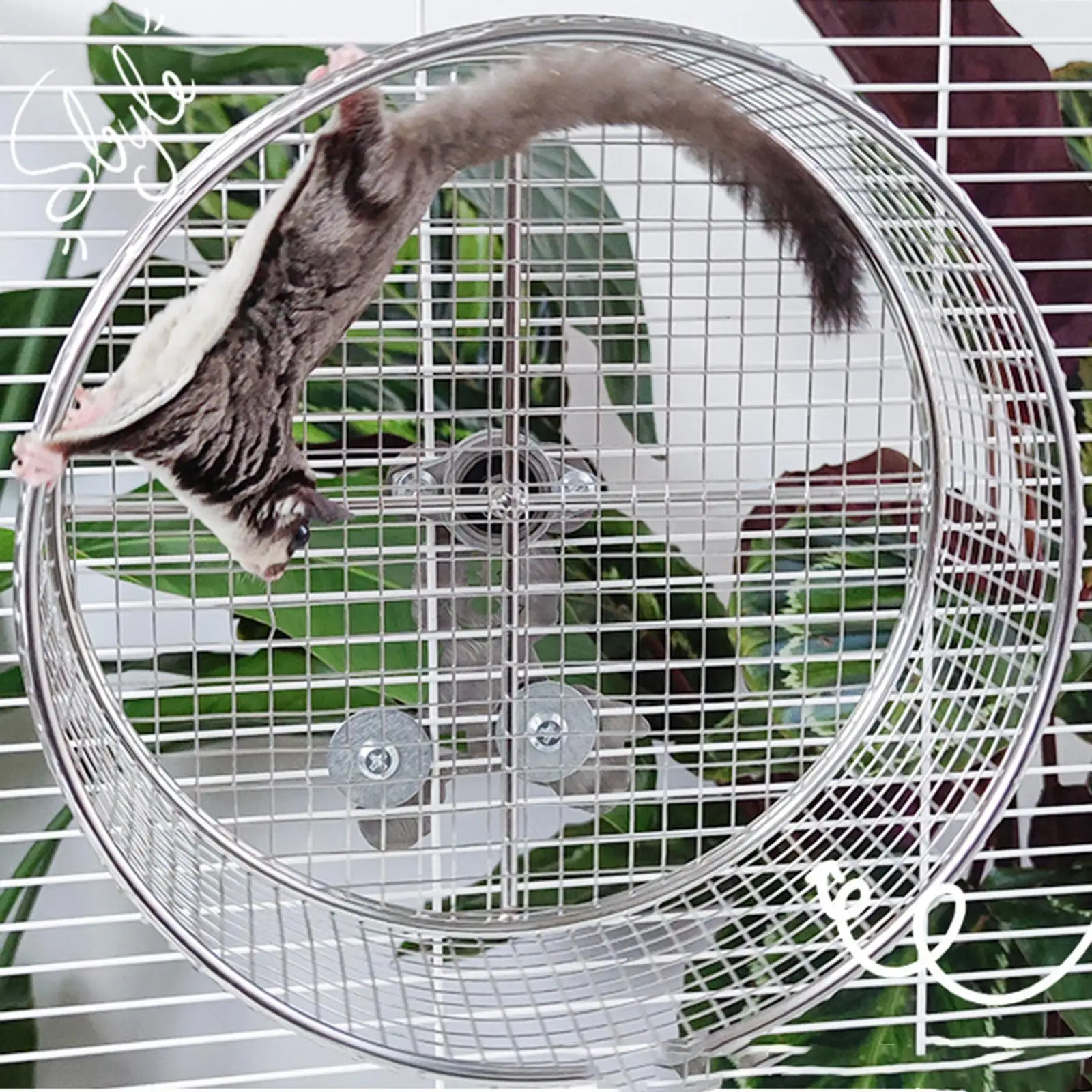 Hamster Exercise Wheel Guinea Pig Jogging Wheel Pets Supplies Fun to Play and 1005010309035042