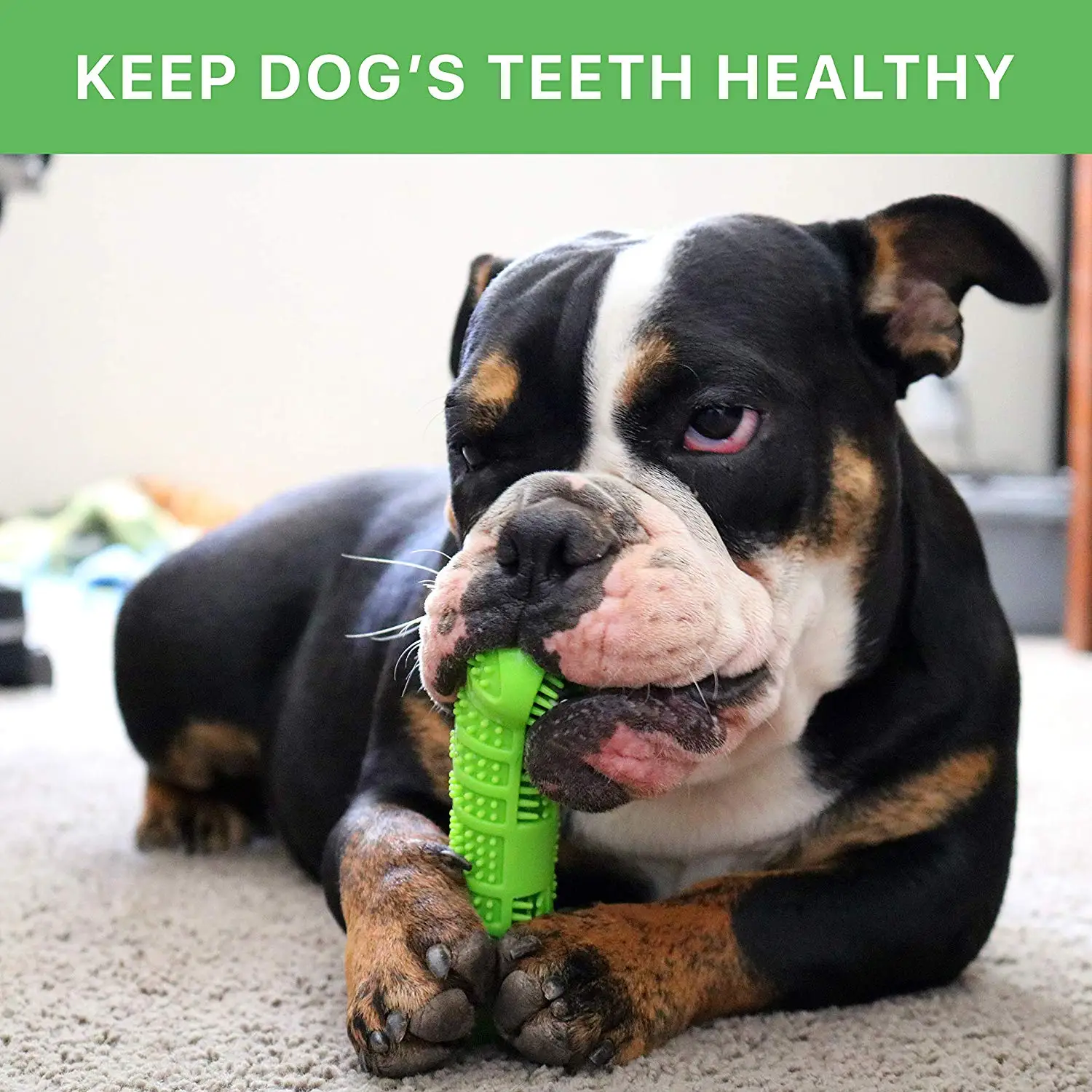 Rubber Pet Chew Toy, Missing Food Ball, Dog Cleaning Brushing, Chew Toothbrush, New Styles 1005010314702344