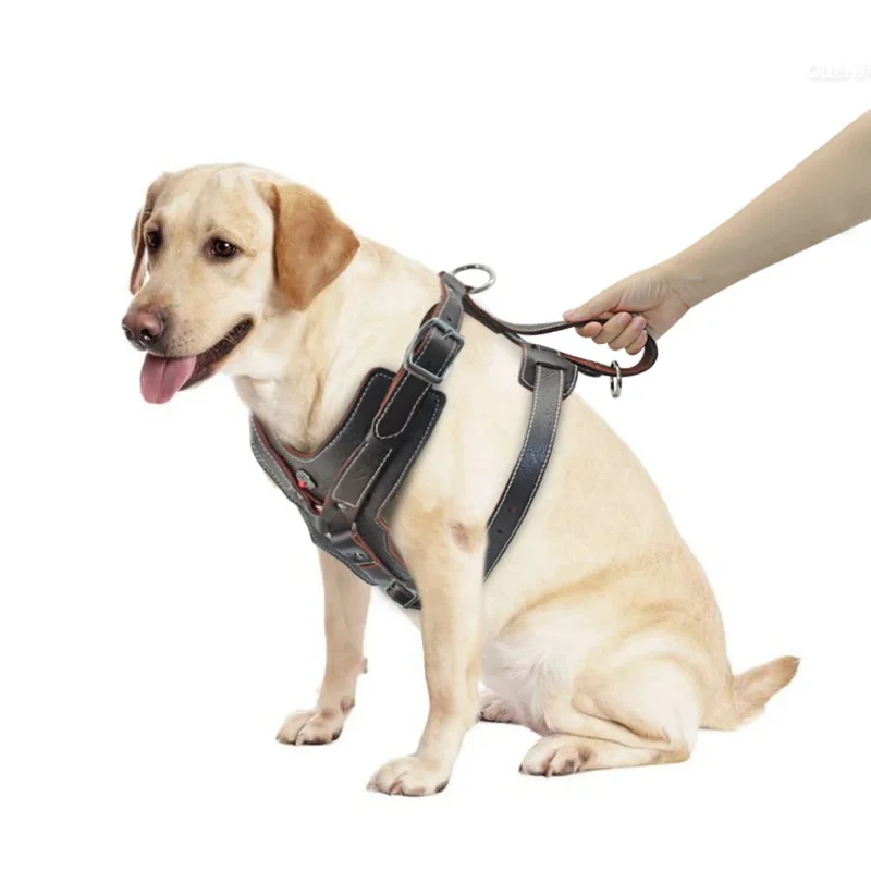 Durable Dog Harness Large Dogs Genuine Leather Harnesses Pet Training Vest With Quick Control 1005010351720734