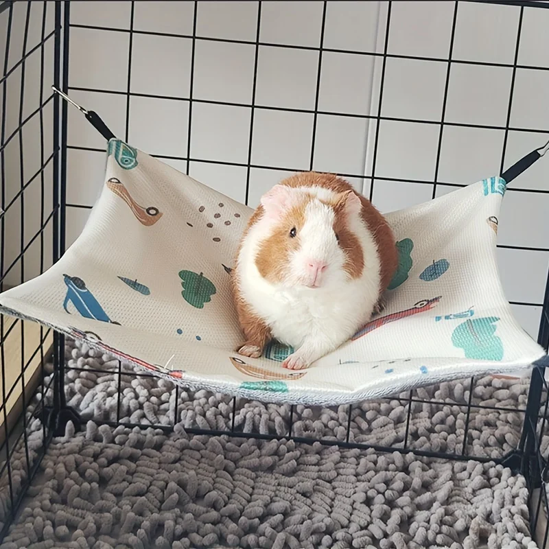 View 6