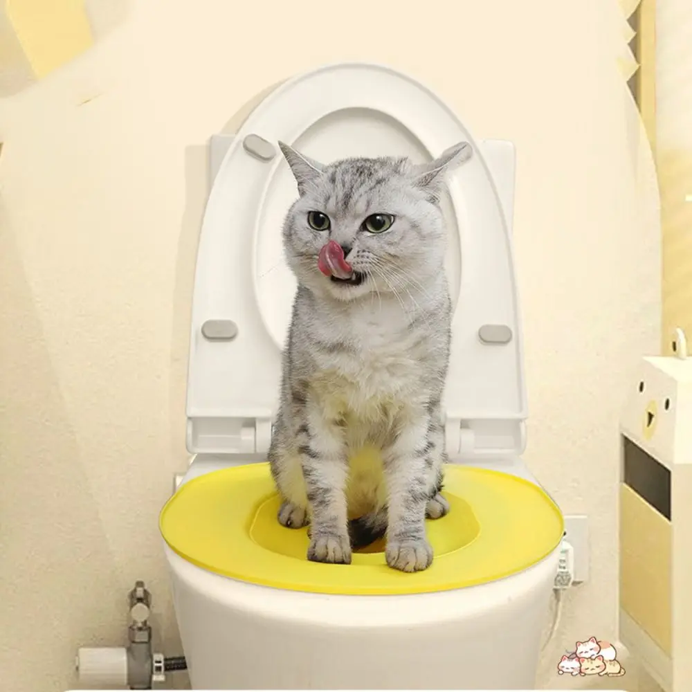 Practical Reusable Cat Toilet Trainer Detachable Plastic Cat Litter Box Stable with Suction Cup Pet 1005010367255612