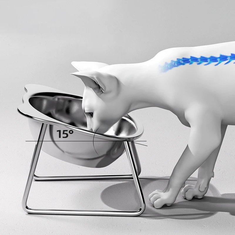 Food Bowl 304 Stainless Steel Shatter-resistant Elevated 15° Pet Supplies For Puppy Cat Raised Cat 1005010399877588