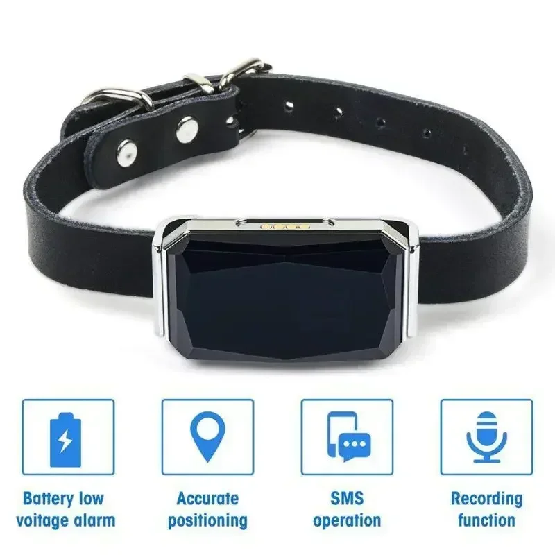 View 2
