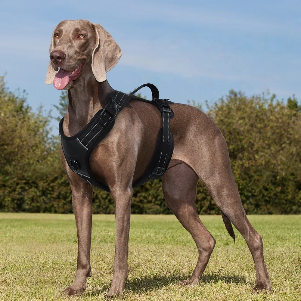 Tactical No-Pull Dog Harness with Handle & Reflective Strips, Padded Vest for Control 1005010424737628