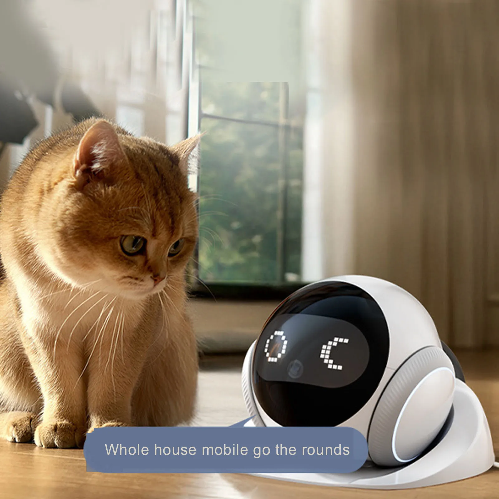 Movable Pet Camera Battery Powered 2 Way Talk Motion Detection Video Recording Indoor Cam Mobile 1005010426270632