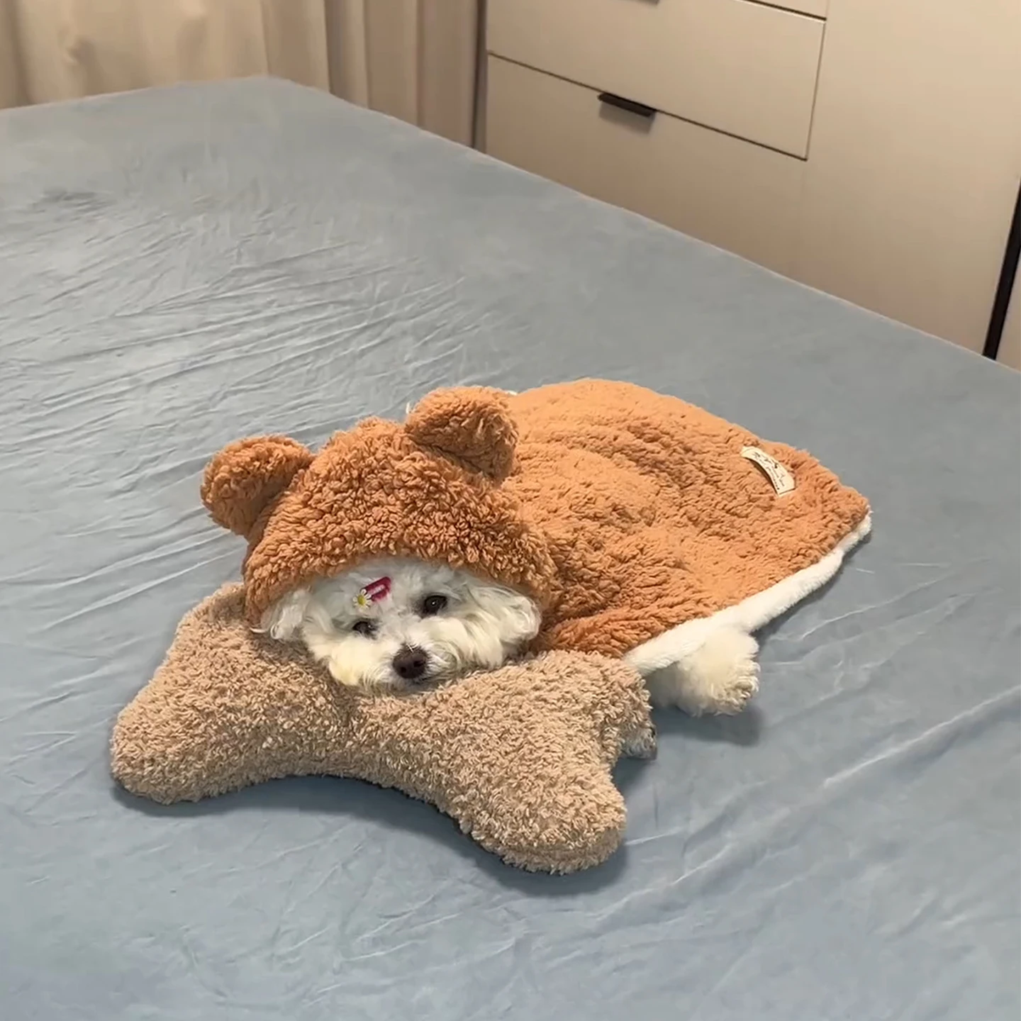 Warm Blanket Pet Dog Clothes Winter Style Small Medium Dogs Bichon Teddy Coats New 2025 Sleepwear 1005010429974944