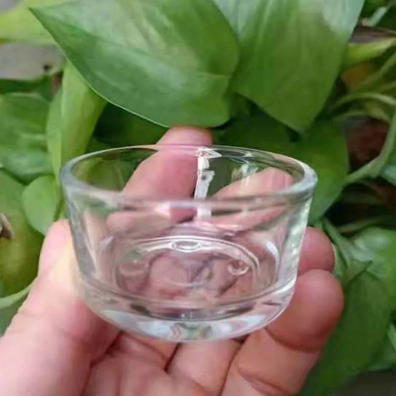 Glass Aquarium Pet Reptile Feeder Bowl Basin Food Water Pot Reptile Turtle Tortoise Scorpion Lizard 1005010436161201