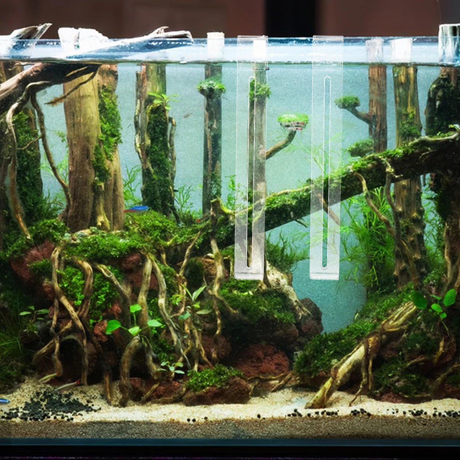 View 6