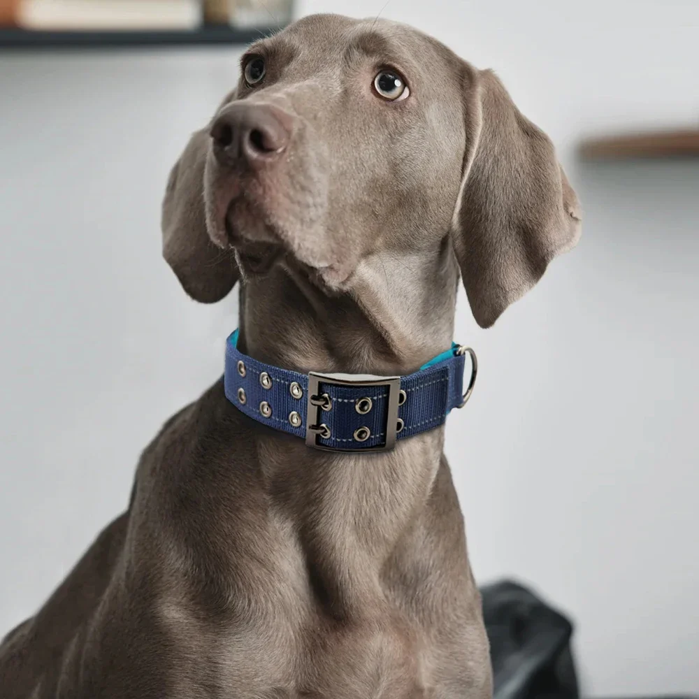 Durable Tactical Dog Collar for Medium to Large Dogs, Adjustable Heavy-Duty Nylon Webbing 1005010450385607