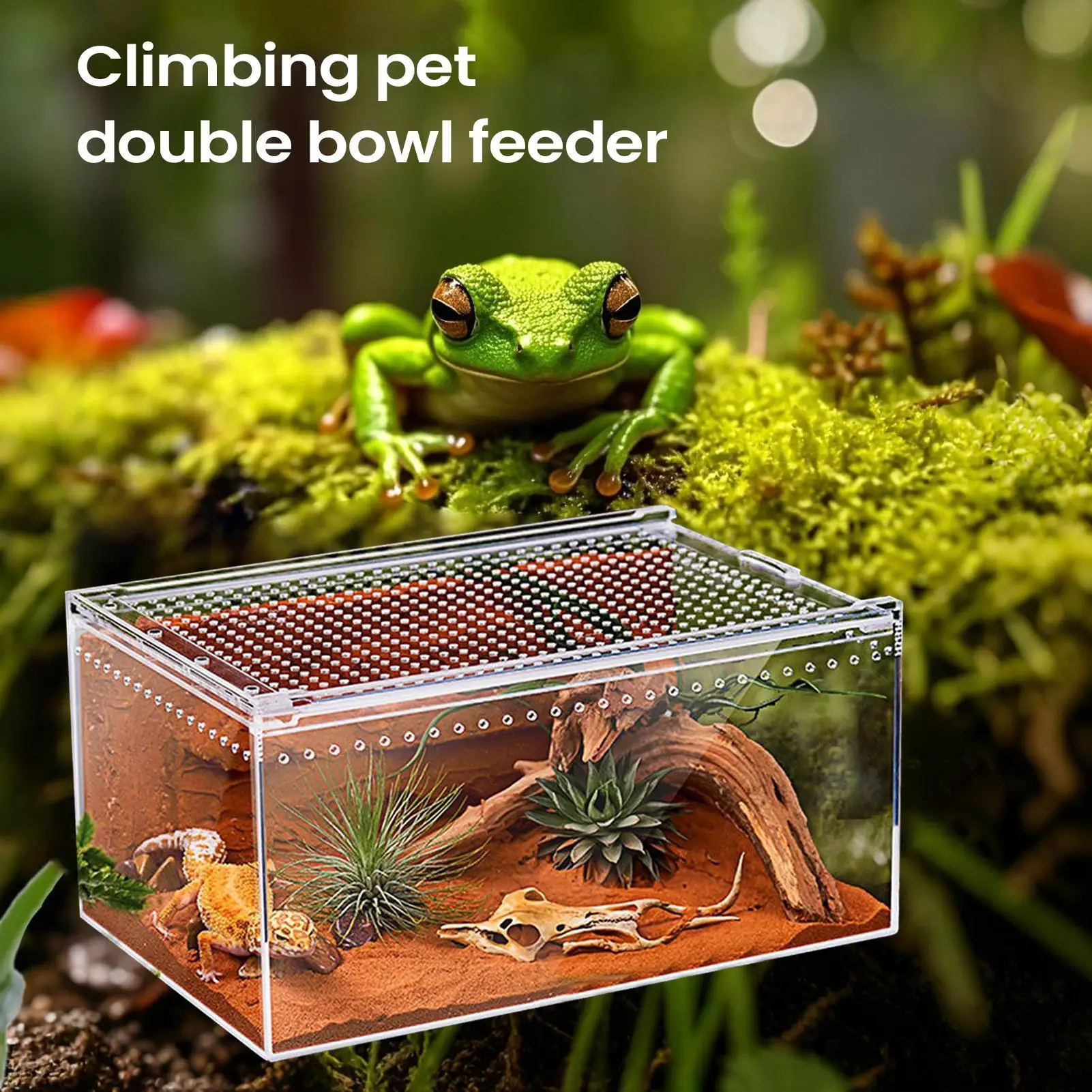 Spider Enclosure Transparent Reptile Terrarium Tank Habitat with Ventilation for Tarantula Gecko 1005010450914536