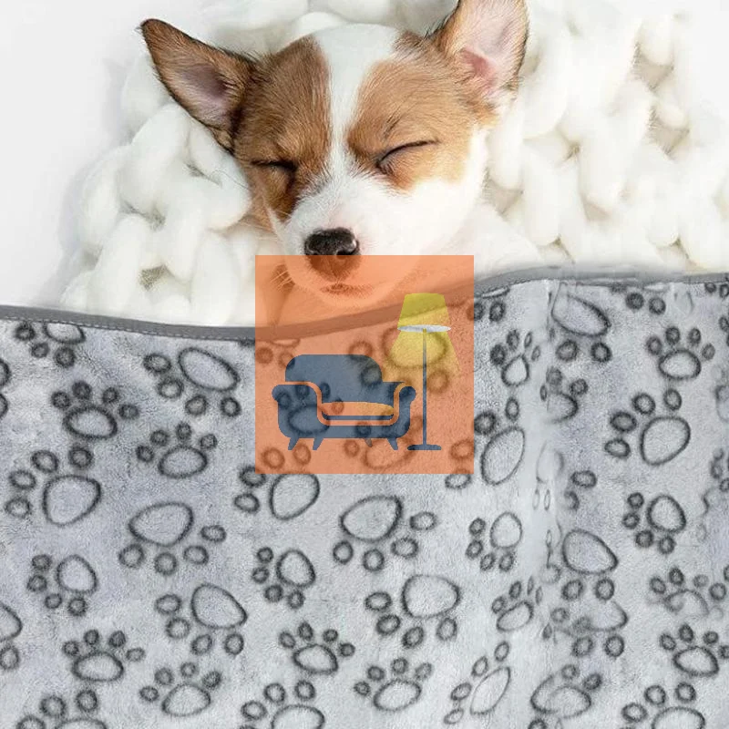 Ultra Soft Fluffy High Quality Pet Blanket Cute Cartoon Pattern Pet Mat Warm And Comfortable 1005010452514511