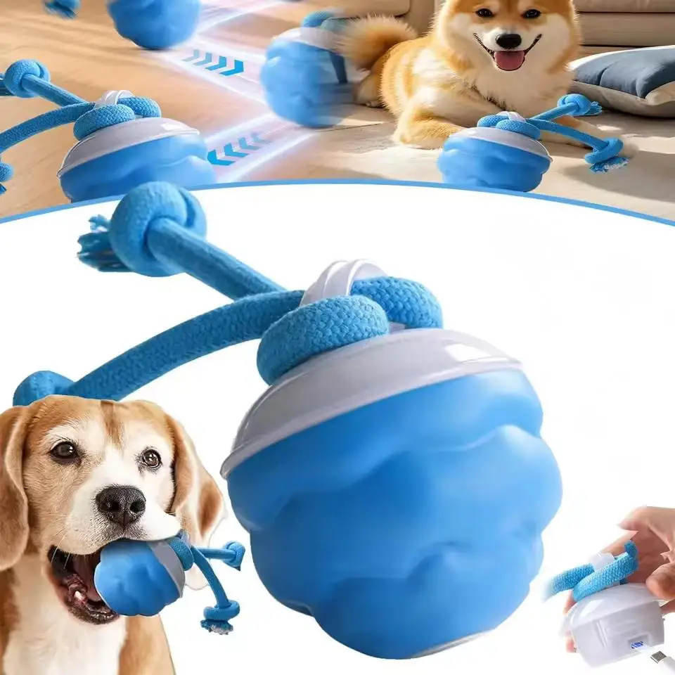 Interactive Dog Toys for Boredom Motion Activated Ball for Small/Medium/Large Dogs USB Rechargeable 1005010468470766