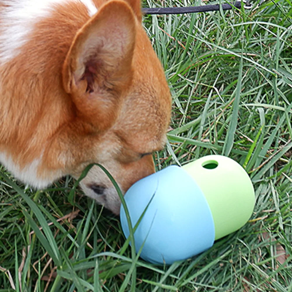 Silicone Capsule Puzzle Feeder: Chewable Treat-Dispensing Toy for Dogs 1005010489922070