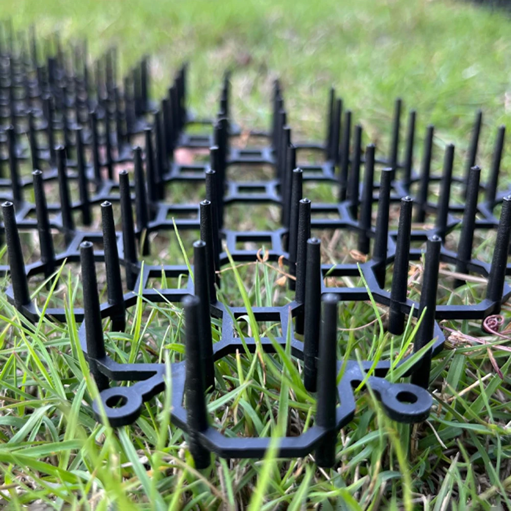 View 3