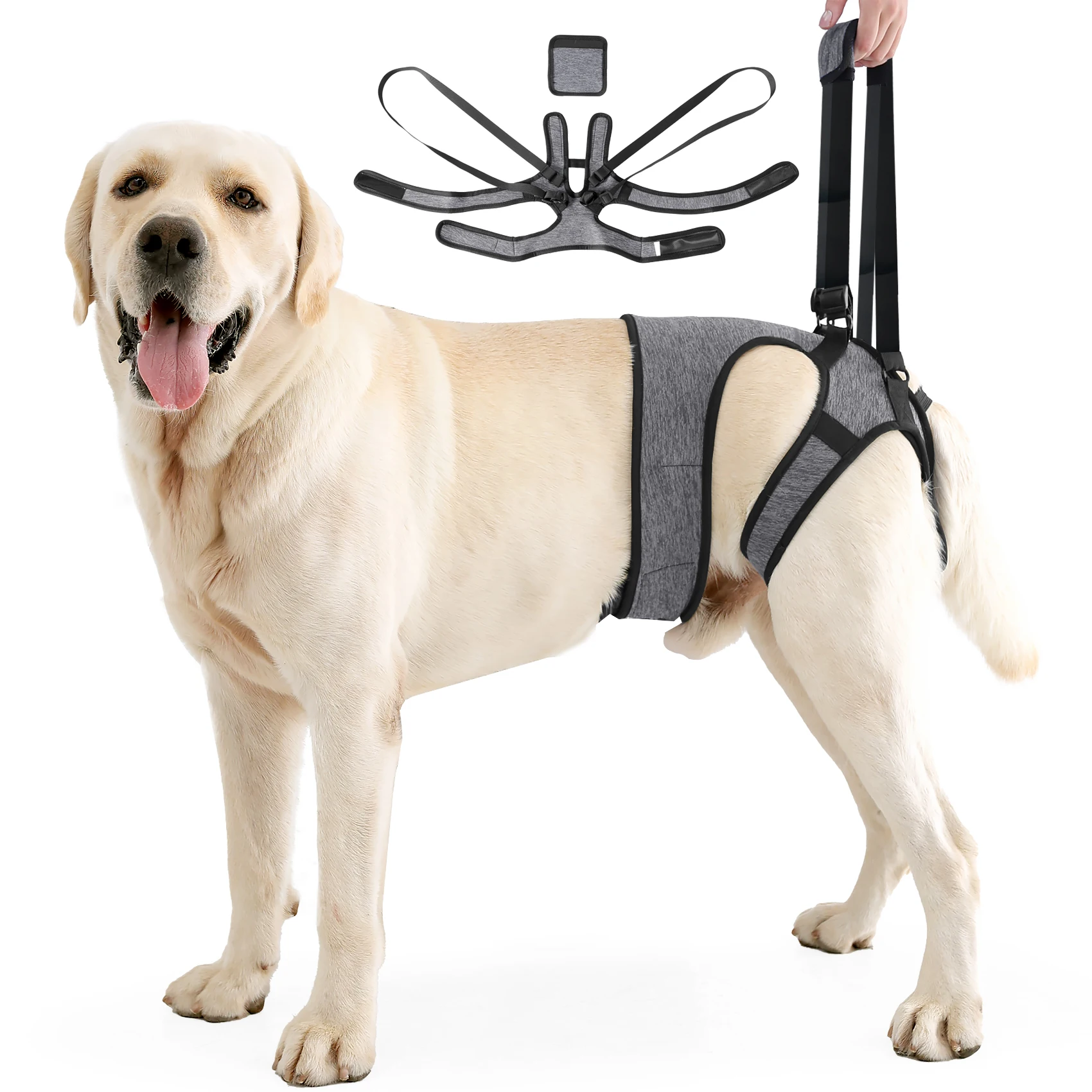 Dog Lift Harness, Dog Sling for Back Legs, Dog Harness to Help Lift and Walk 1005010537000011