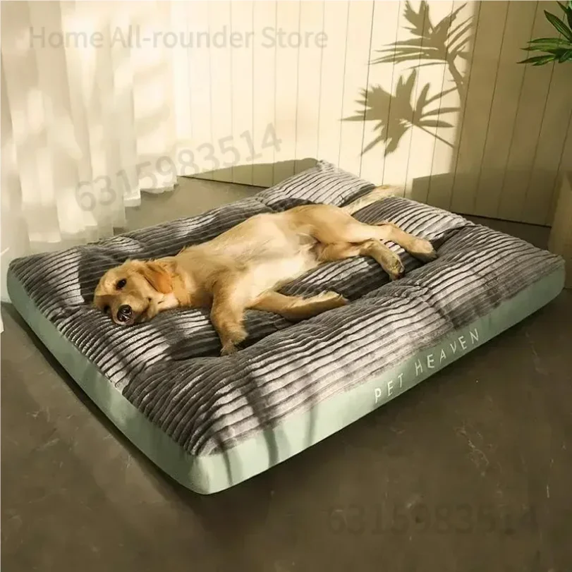 View 2
