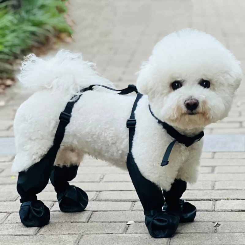 Waterproof Dog Boots Anti-Slip Dog Shoes Pet Paw Protector Dog Rain Booties Dog Outdoor Sock Shoes 1005010559234989