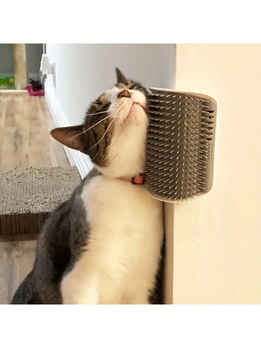 1pc Wall-Mounted Cat Self Groomer With Massage Comb Brush 1005010577685334