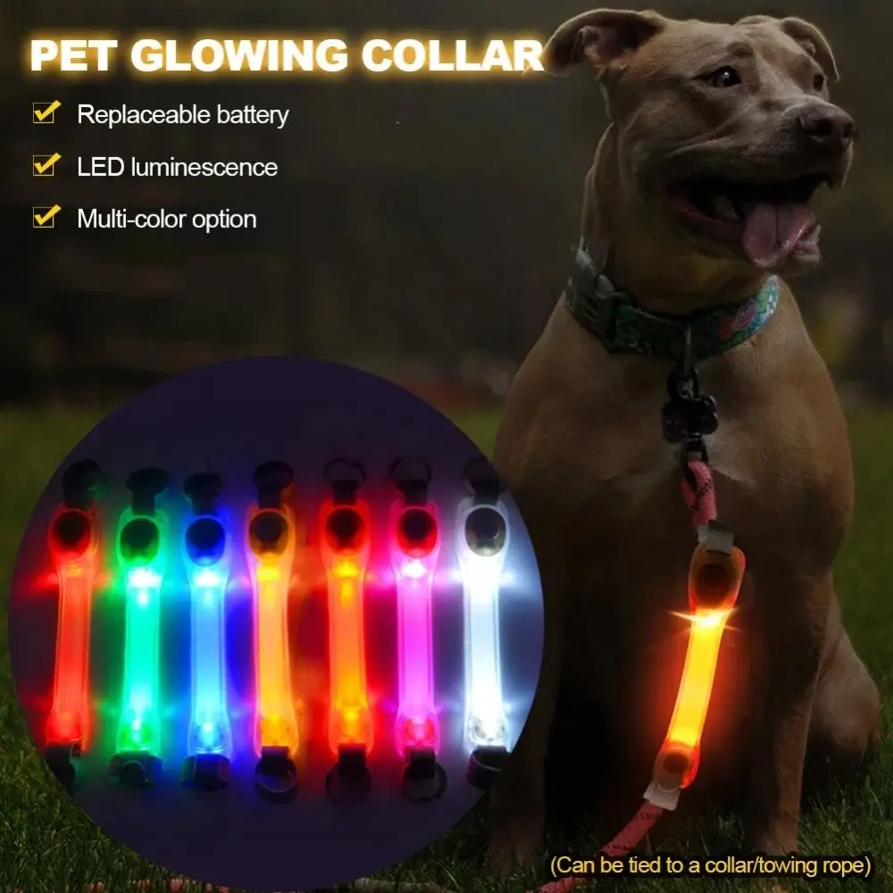 Waterproof Dog Anti-Lost Safety Glowing Collar Night Visibility Multi-Color Flashing LED Light 1005010579762040