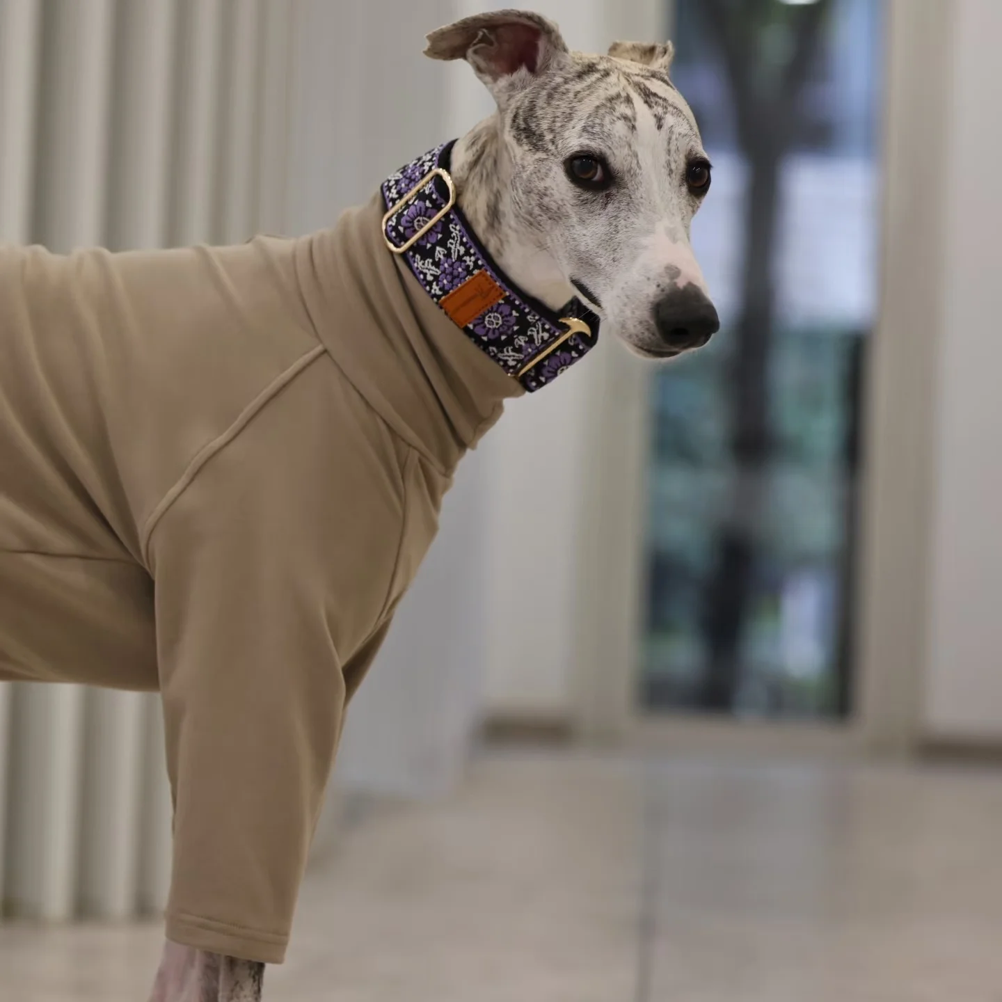 Soft Comfortable Adjustable Collar for Mid Large Dogs in Winter Ethnic characteristic Ornaments for 1005010582590554