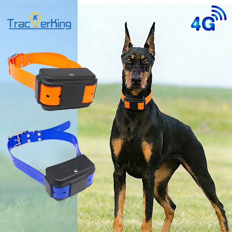 GPS Tracker Collar for Hunting Dogs Trackerking DK07 4500mAh Waterproof Pet Training Collar With (4G) 1005010589153894