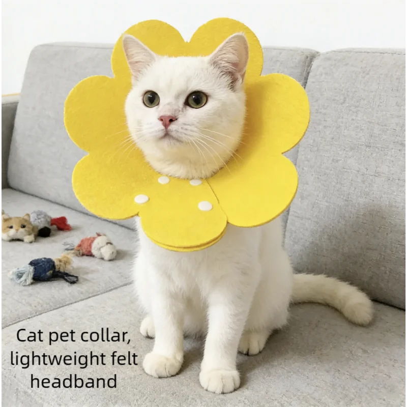 Pet Protective Collar Dog Neck Cone Recovery Cone Collar for Anti-Bite Lick Surgery Wound Healing 1005010591171352