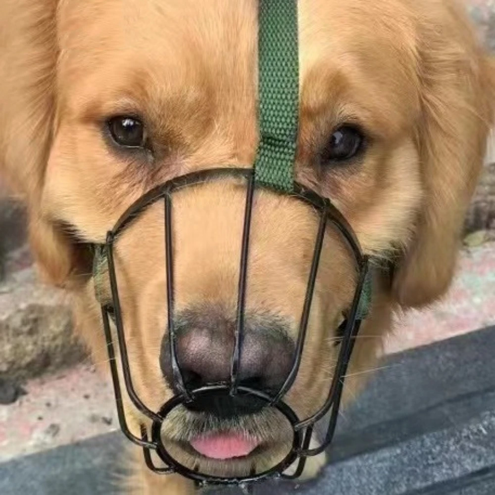 Breathable Dog Anti-Bite Metal Muzzle Adjustable Anti-Bite Dog Mouth Cover Heat-Proof Anti-Bark 1005010592106373