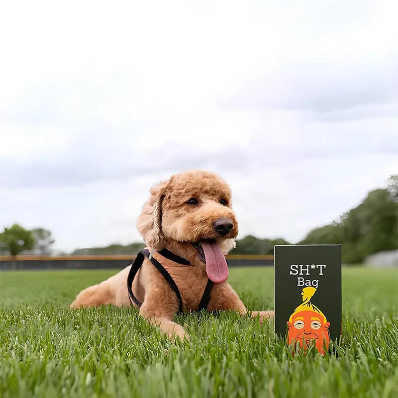 60pcs Portable Pet Waste Bag Dispenser Biodegradable Dog Poop Bags Holder for Cats Dogs Outdoor 1005010596760695