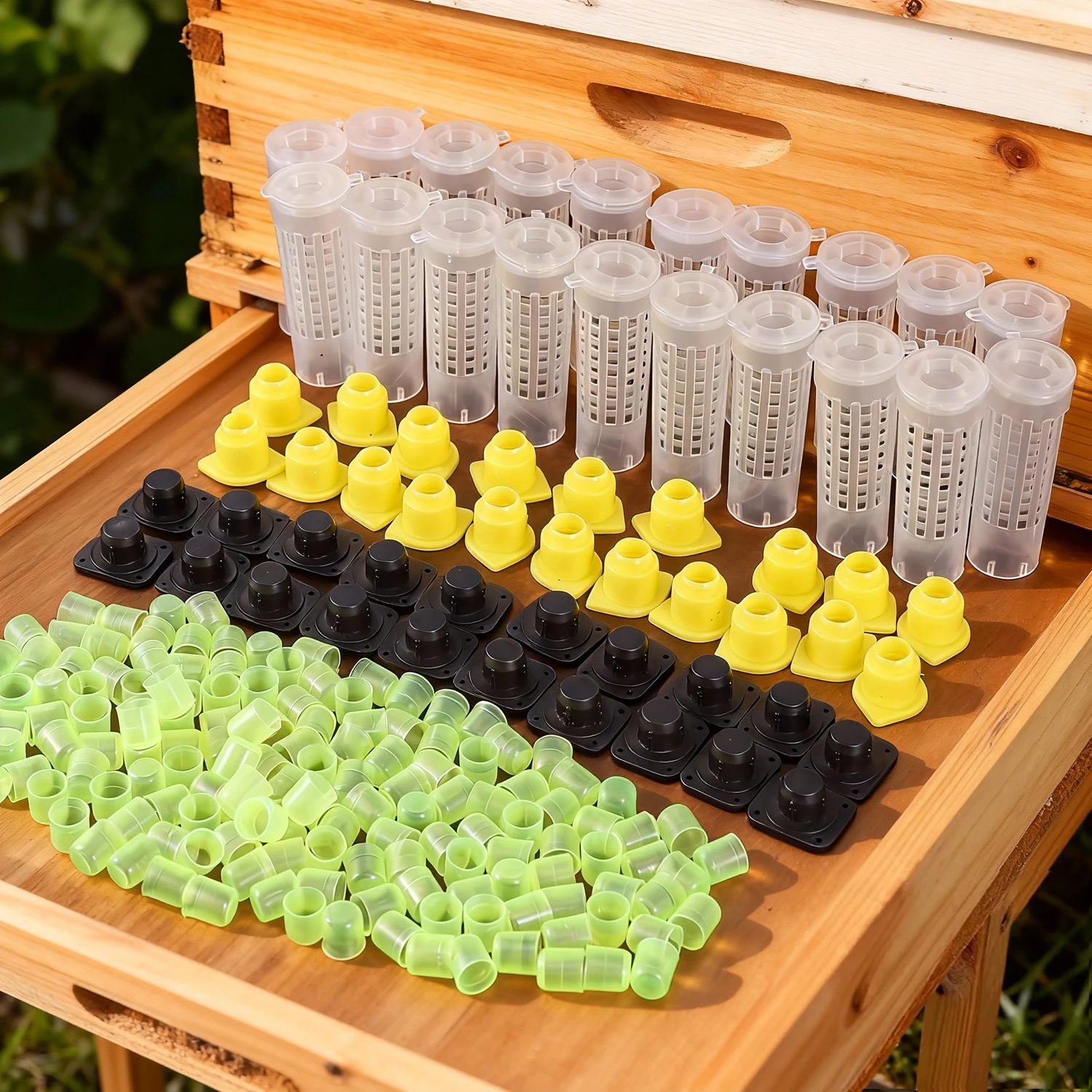 Queen Bee Cell Cage Beekeeping Transporting Bee Prisoner Queen Bee Egg-Laying Cup Artificial Queen 1005010623120844