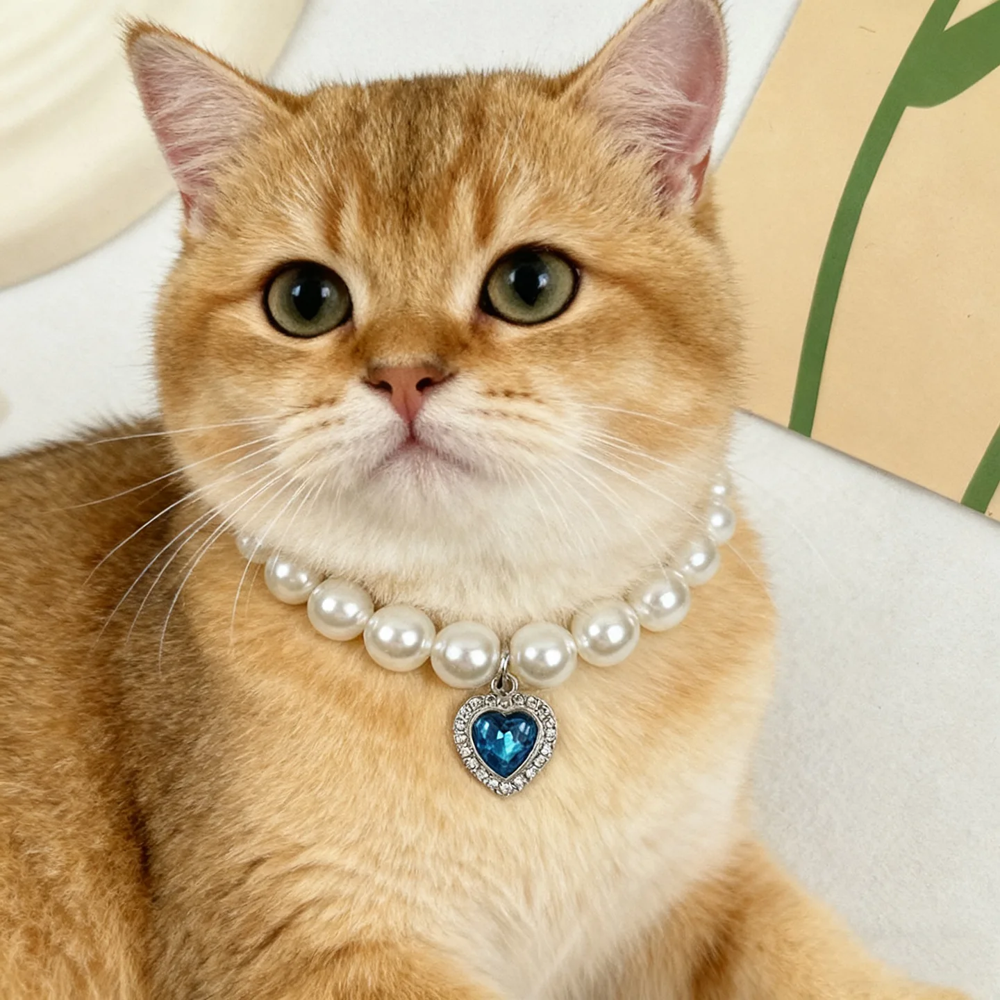 New Cute Exquisite Adjustable Cat Collar High Simulation Pearls Summer Pet Necklace Fashion Neck 1005010626257978