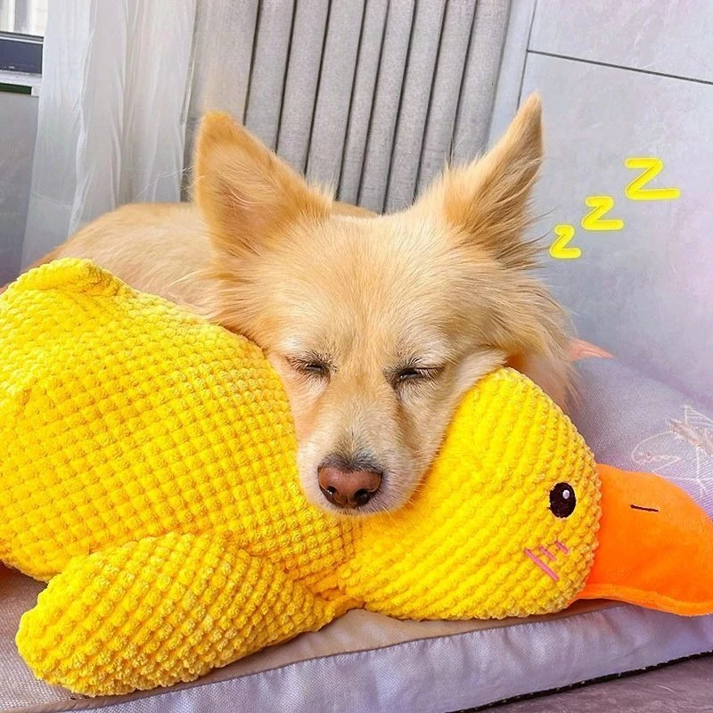 Bite Resistant Plush Dog Toy Duck Shape Interactive Chew Proof Teeth Cleaning Boredom Relief for 1005010627928933