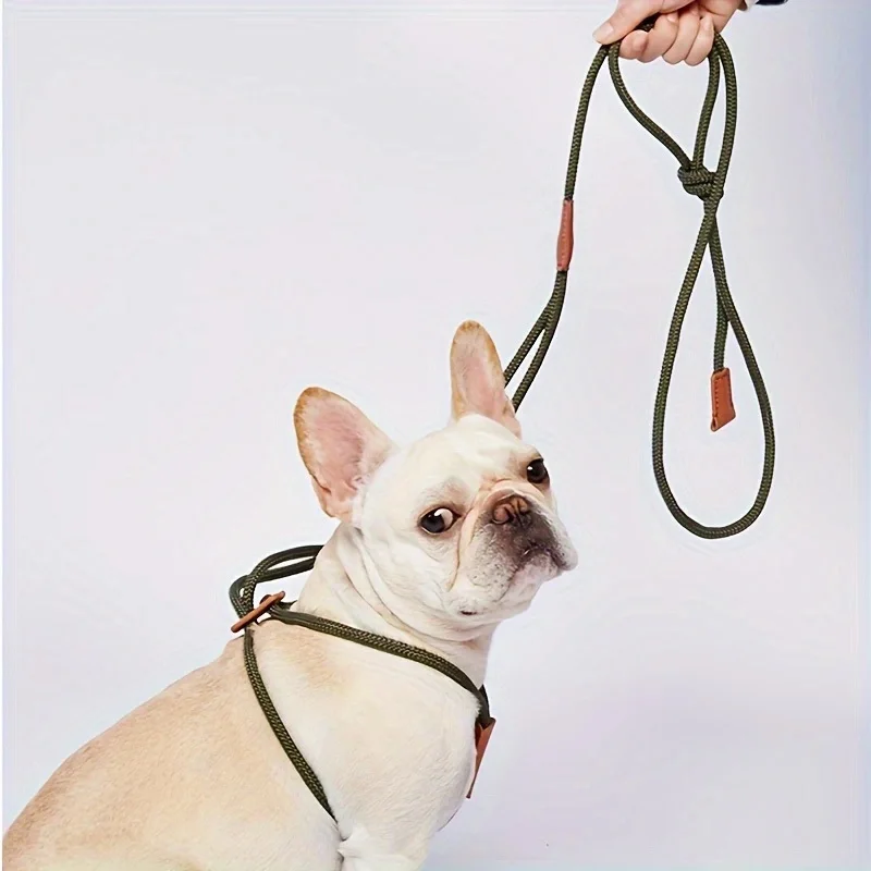 Integrated pet dog leash, nylon strap, adjustable dog chest strap, walking dog leash 1005010645289578