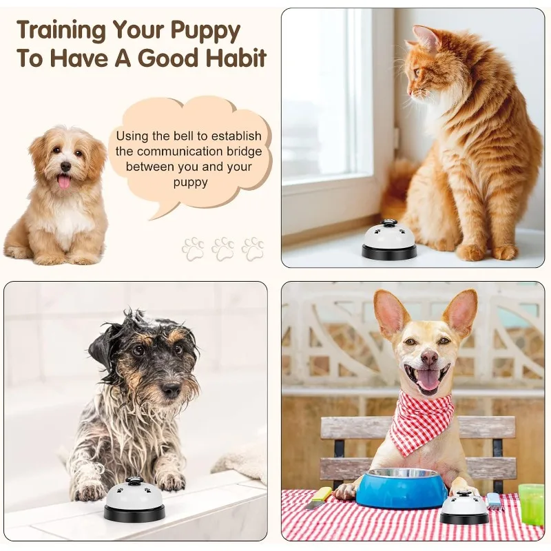 View 4