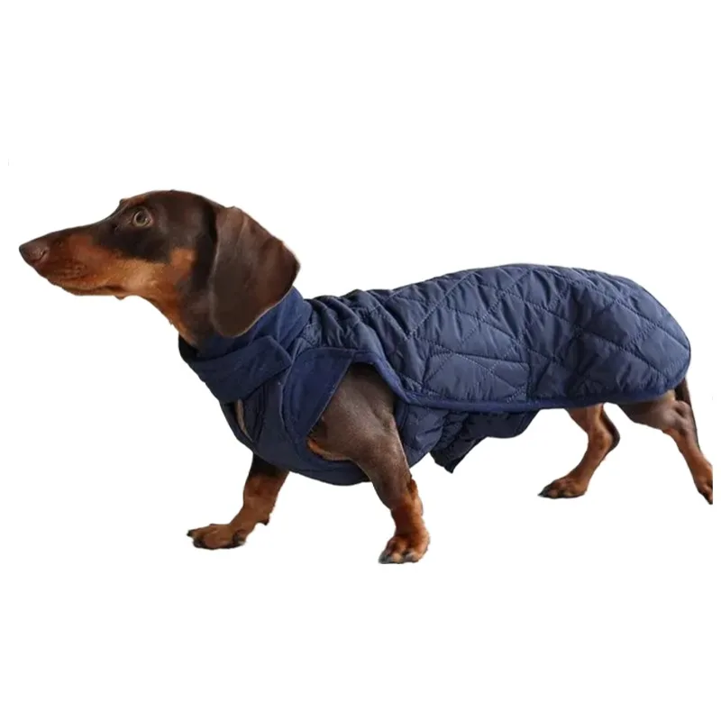 Dachshund Winter Warm Coat, Waterproof Windproof Dog Jacket with Elastic Chest & Legs 1005010669728673