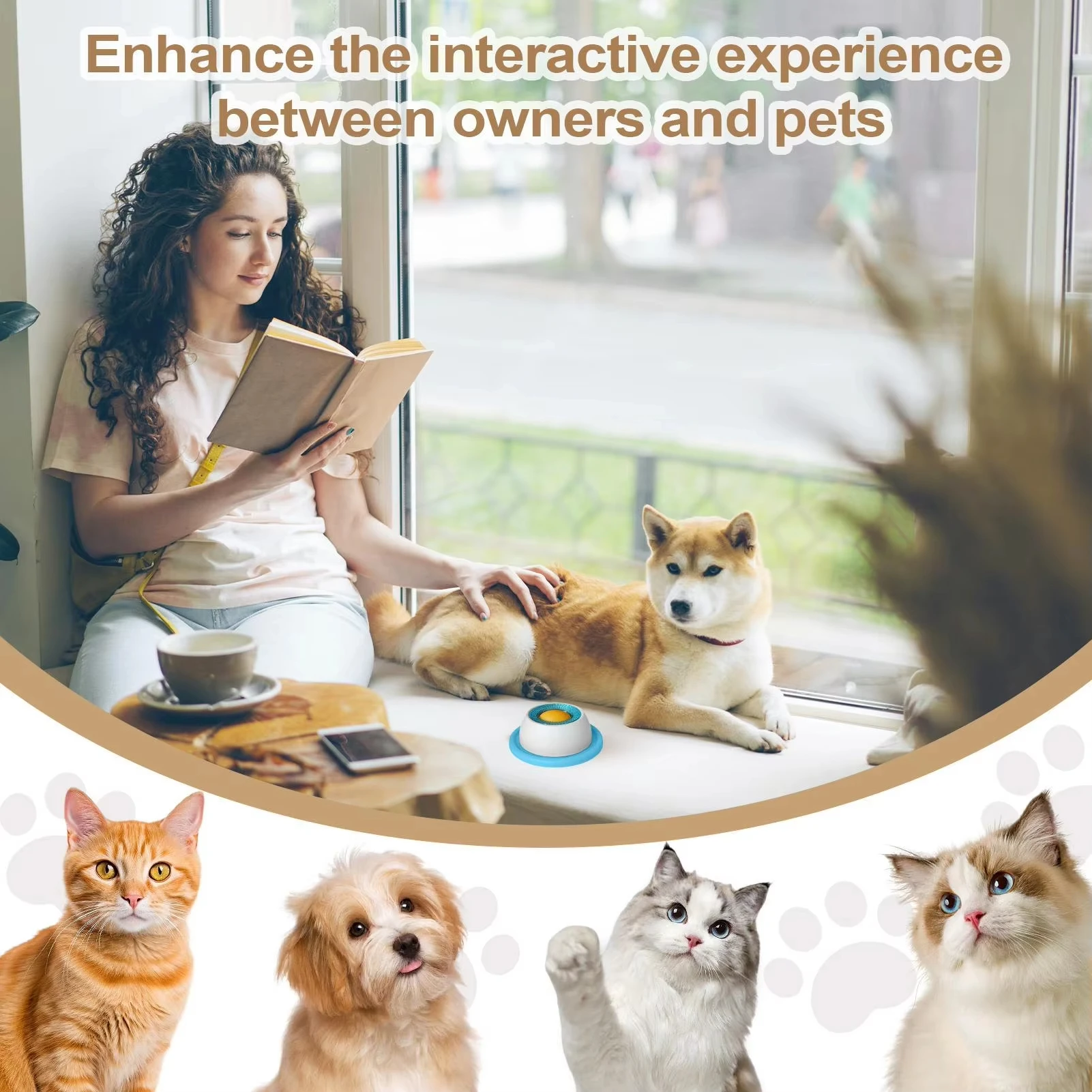 View 2