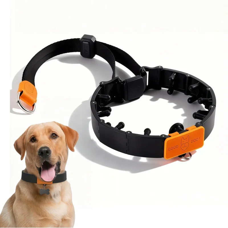 Professional Dog Training Collar Set Includes Chain Silicone Spiked Soft Rubber Tips for Medium 1005010705428851