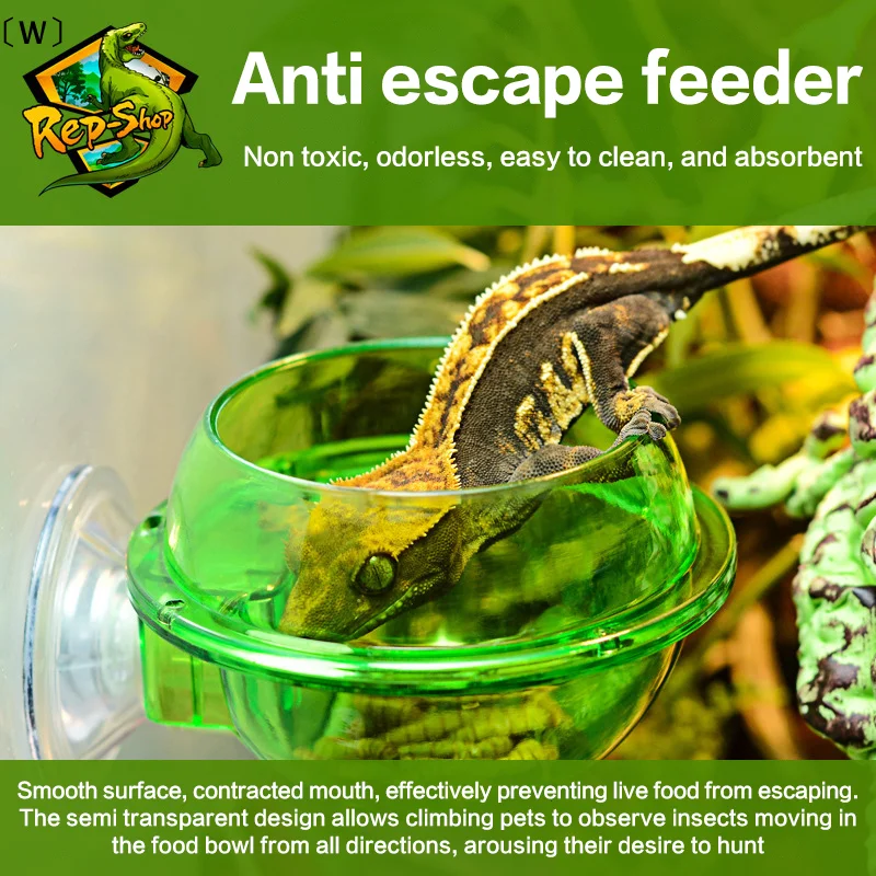 Arboreal Reptile Live Anti-Escape Sucker Feeder Bowl Insect Worm Food Container for Lizard Gecko 1005010705573073