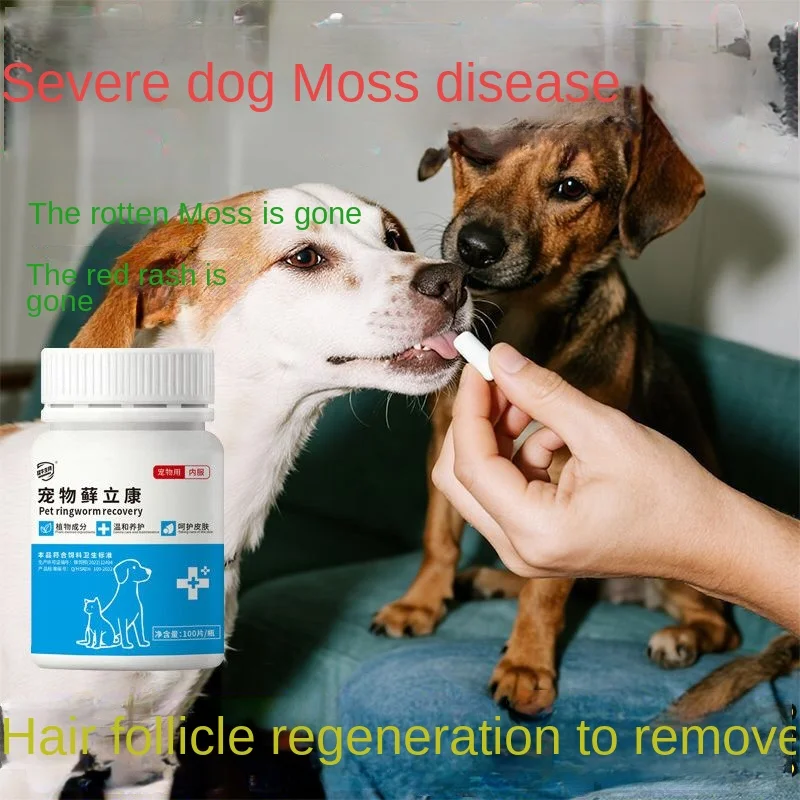 Pet dermatitis, mites, eczema, ringworm of dogs and cats, dog ringworm tablets, itch relief 1005010728032193