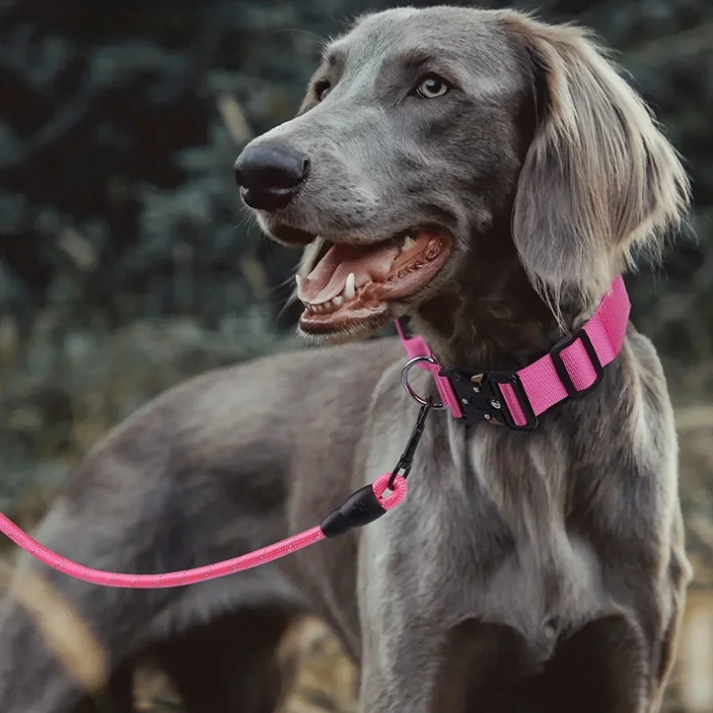 New Adjustable Outdoor Explosion Proof Flushing Tactical Collar Training Tactics Dog Accessories 1005010735991435