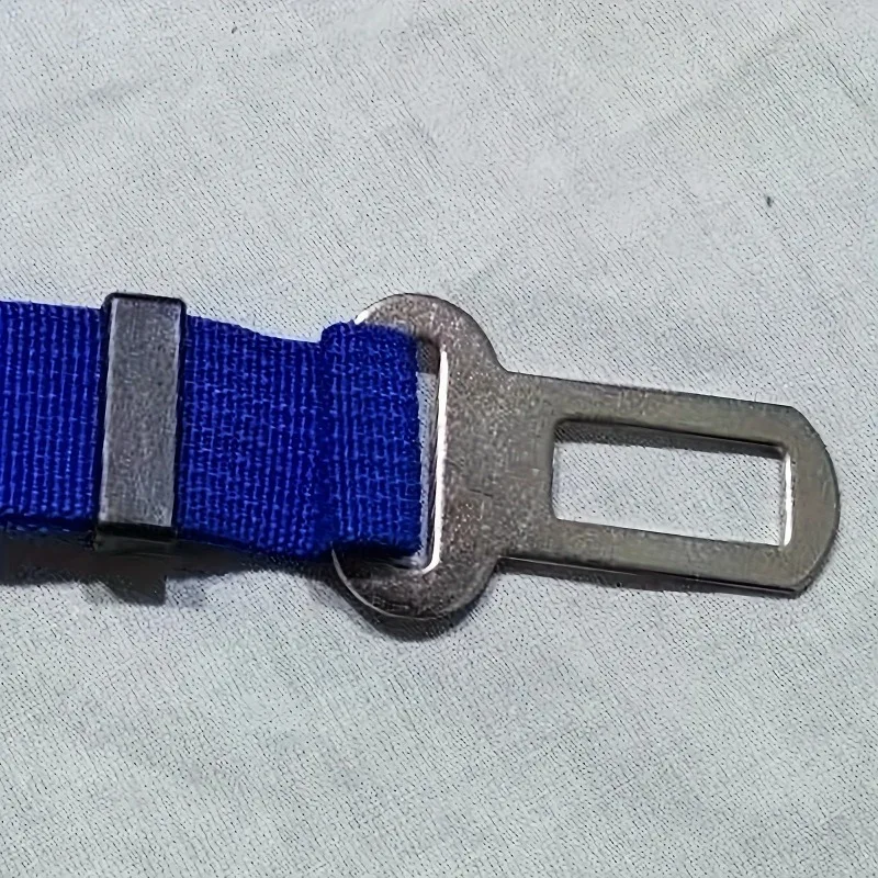 View 5