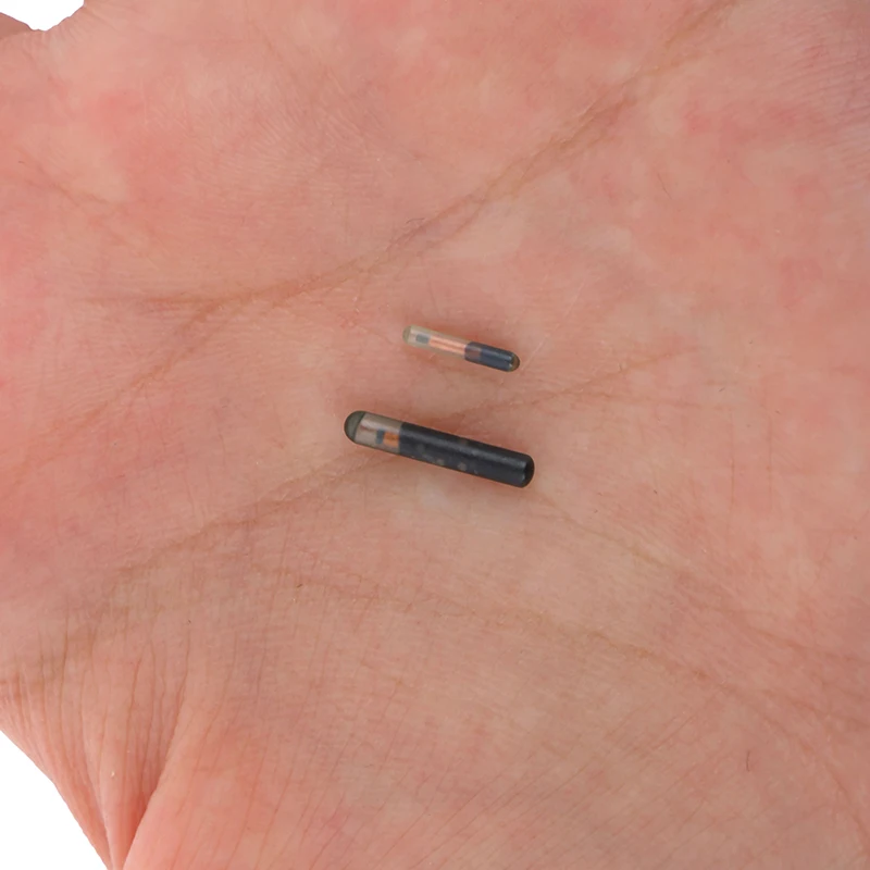 134.2KHZ Microchip Animal RFID Tag For Fish Dog Cat Idetification 1005010745105409