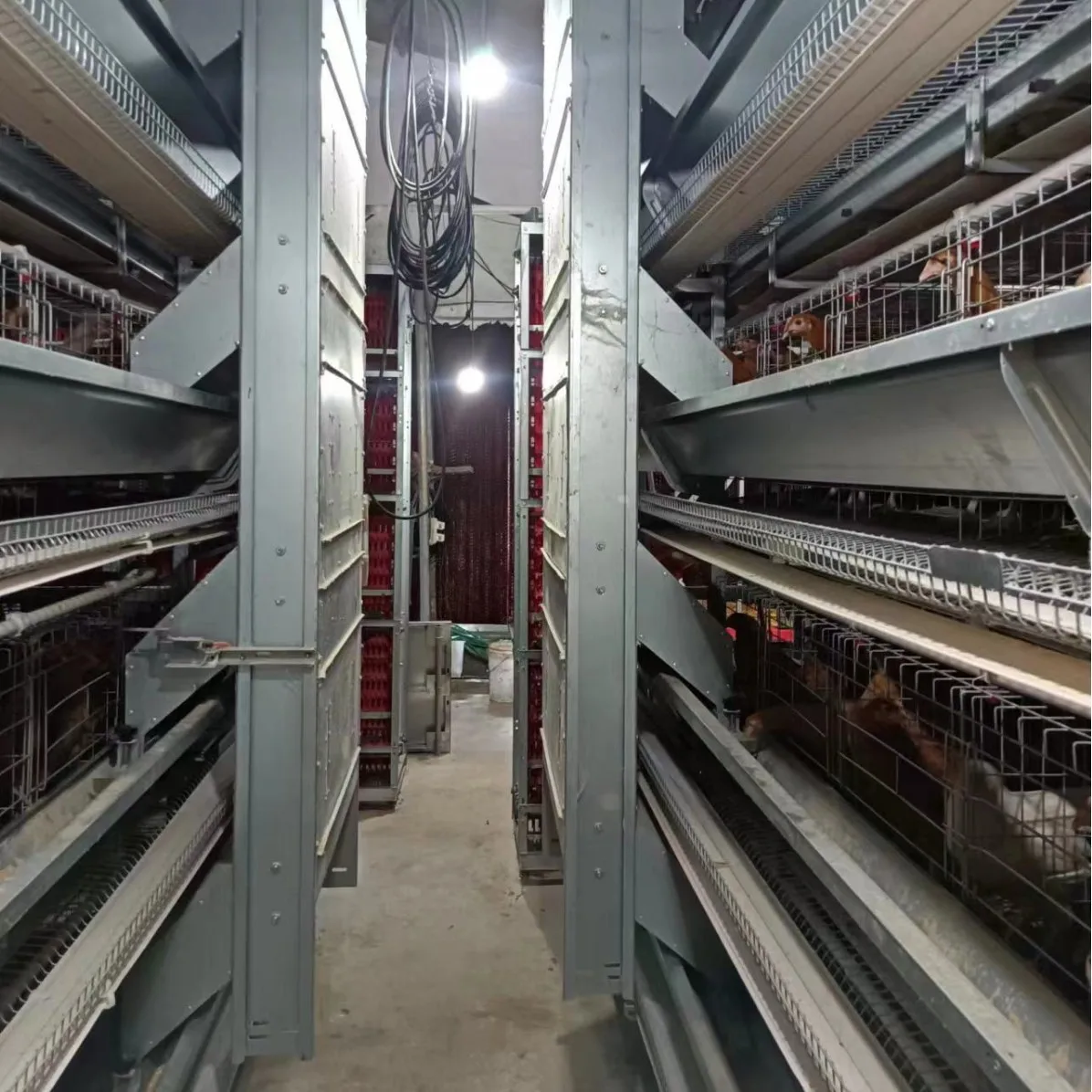 New Large Layered Egg Chicken Equipment Broiler Cage Encrypted Thickened Fully Automatic High 1005010750667160