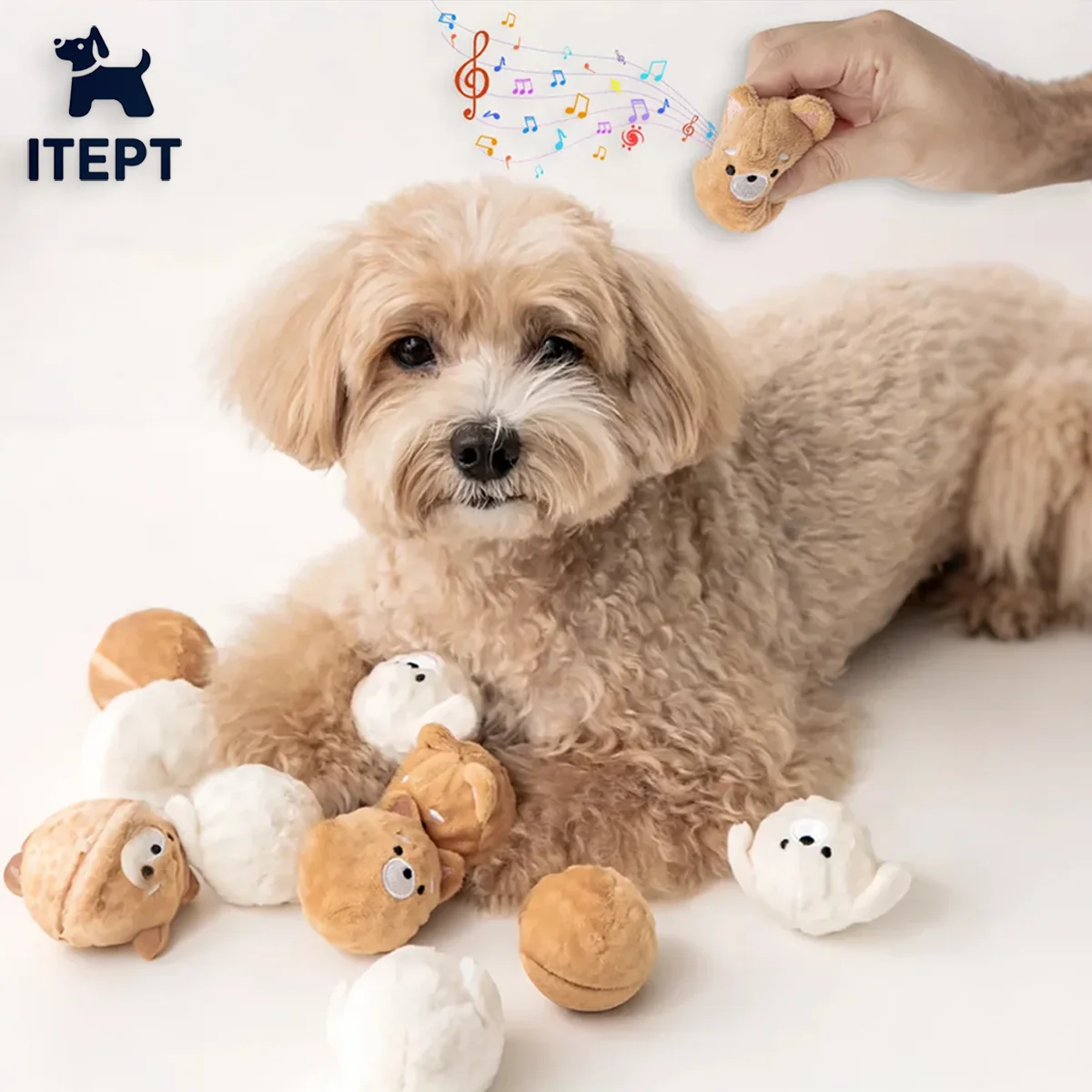 Squeaky Puppy Ball Toy, Spiked Bouncing Chew for Teeth Cleaning 1005010769336865