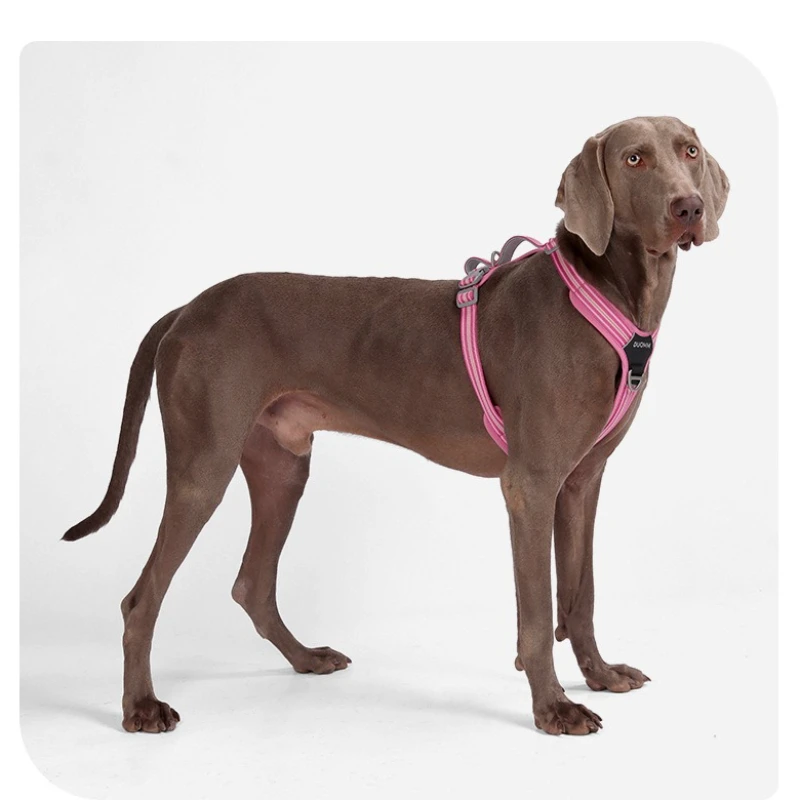 Easy On/Off No-Pull Dog Harness, Quick Release Buckle & Dual Handle 1005010771459281