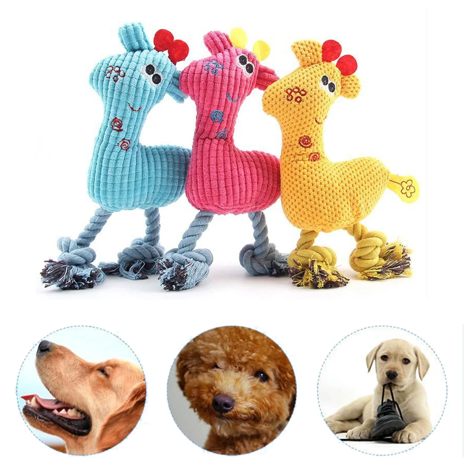 View 3