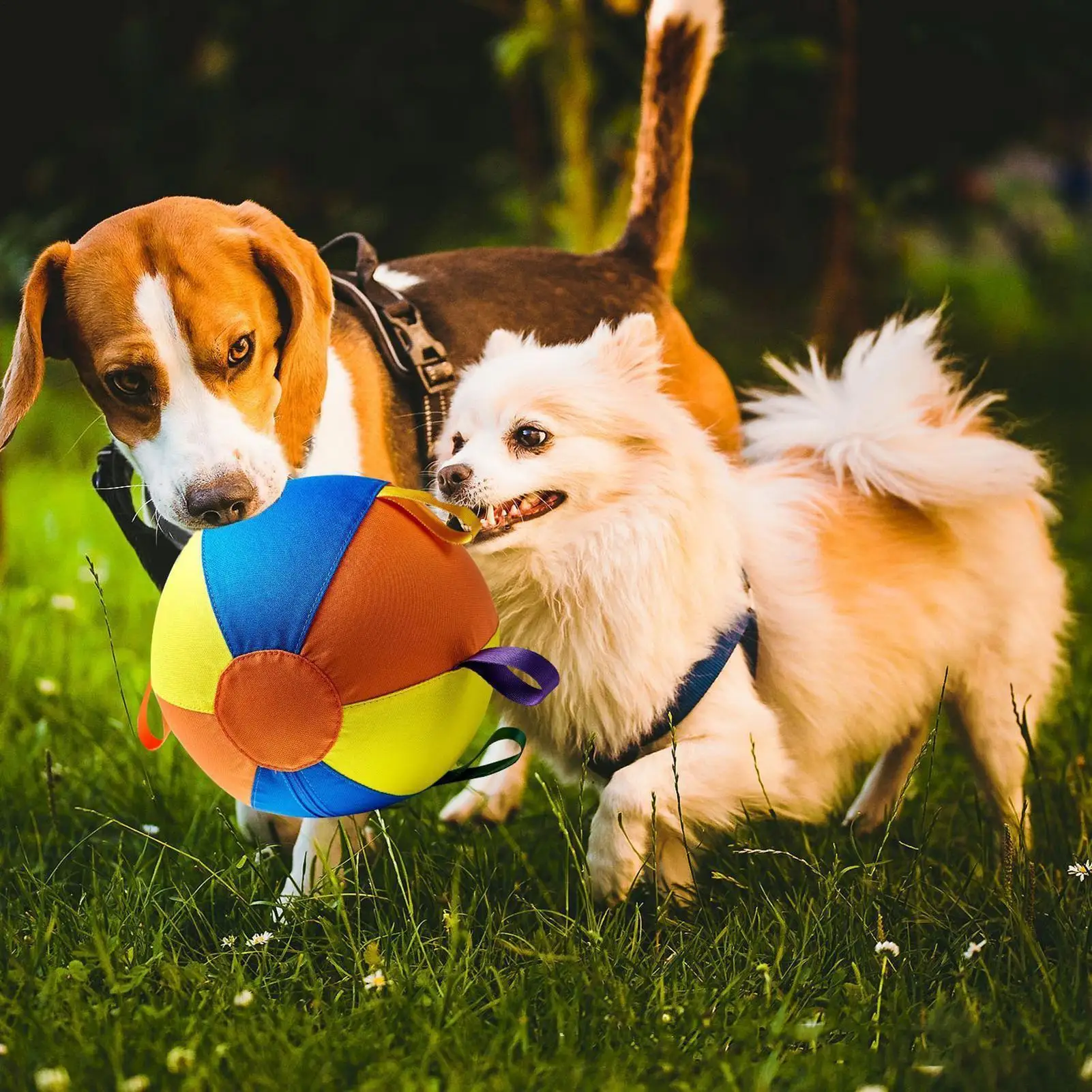 Dog Ball Portable Puppy Balls Toy Bite-Resistant Safe Chewers Game Exercises for Water Play Outdoor 1005011551564535