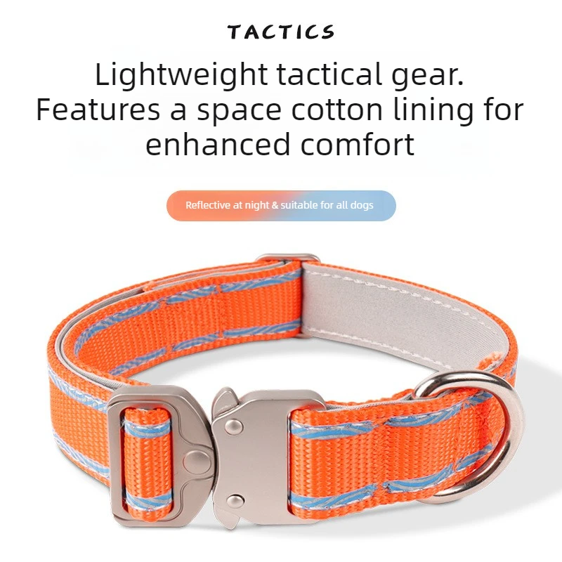 Adjustable Anti‑escape Pet Collar with Buckle for Outdoor Walking Dog Leash Dog Rope for Dogs 1005011551617120