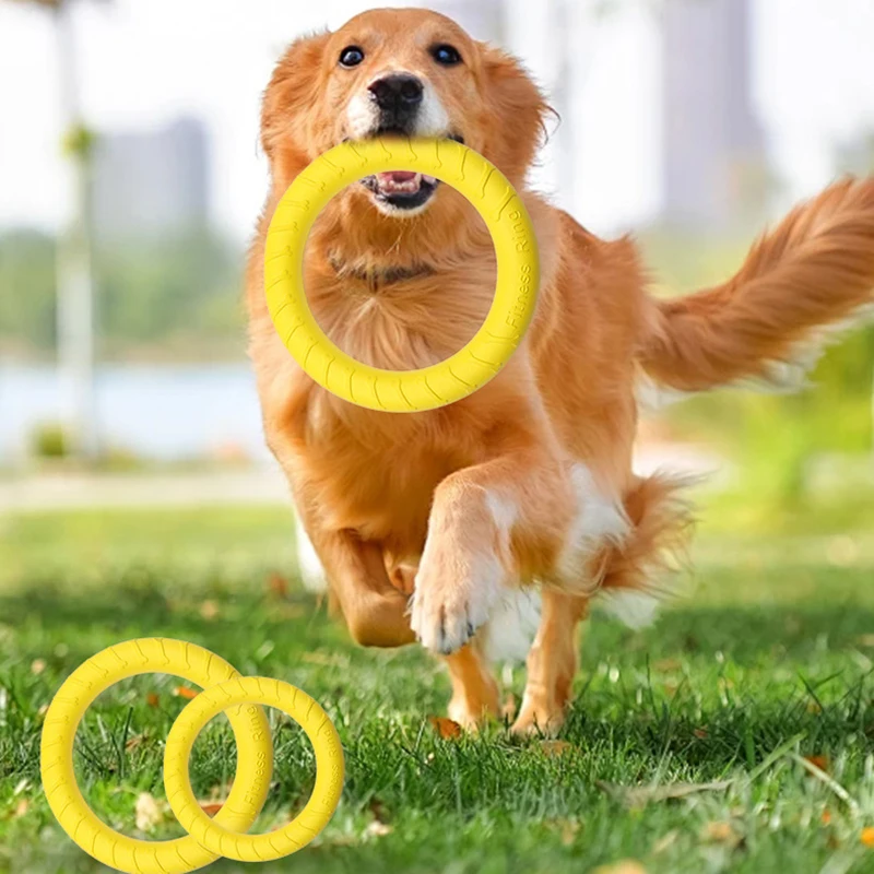 Dog Ring Toys Pet Flying Disk Training Ring Puller Anti-Bite Floating Interactive Supplies Dog 1005011553582830