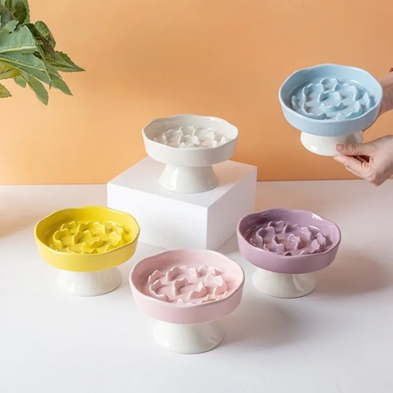 Elevated Cat Bowls Ceramic Slow Feeder Bowls Neck Protection Non-Slip Spill-Resistant for Dogs Cats 1005011554144021